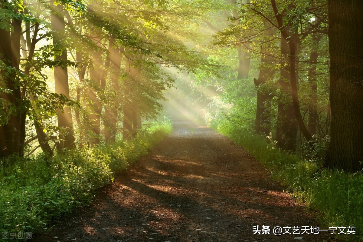 长诗《死魂灵》的现实主义