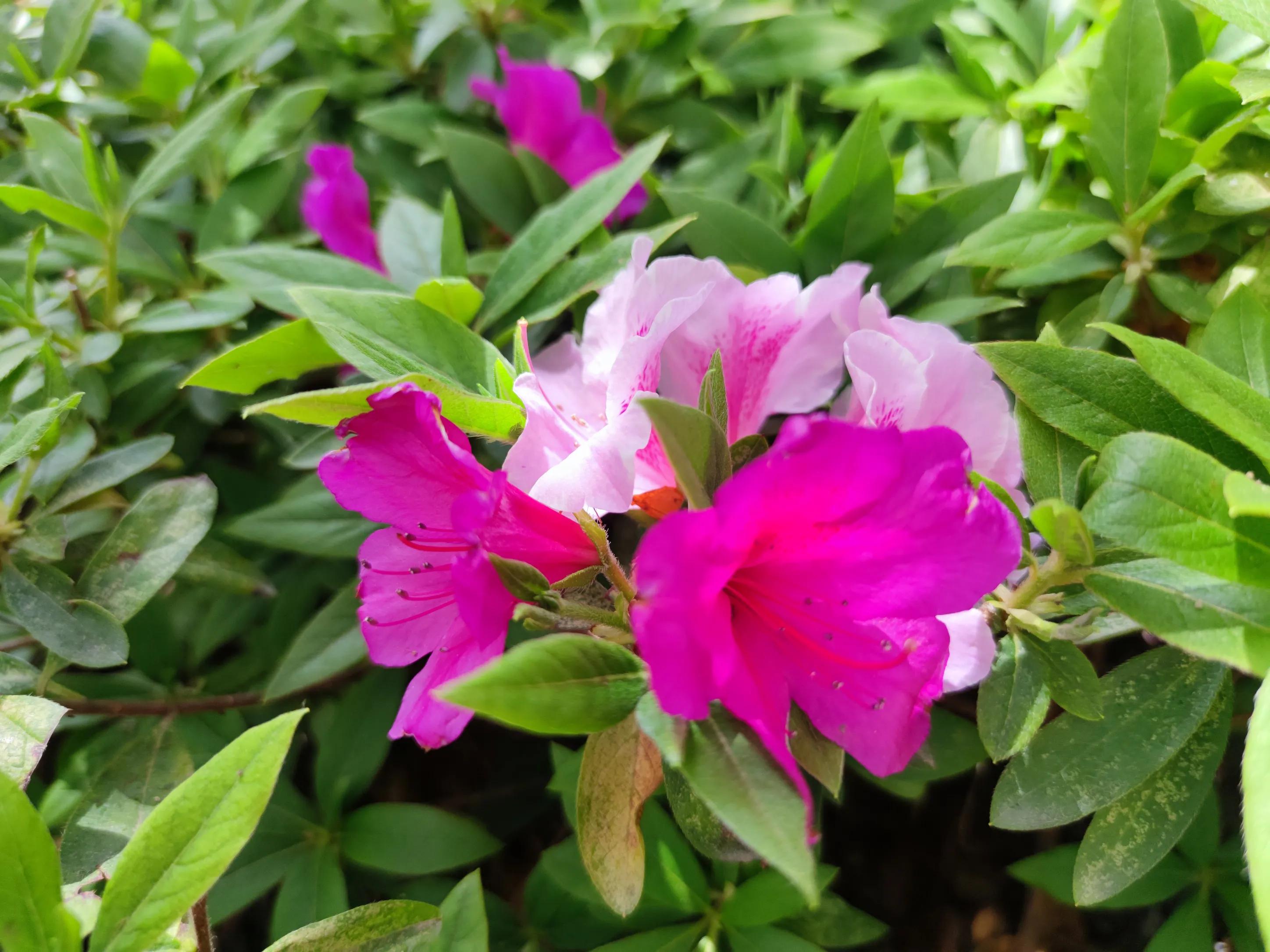 高考作文思路点拨,高中万能高分作文记叙文