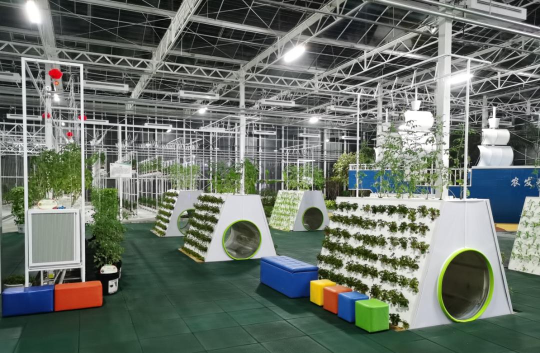 农业技术大讲堂之番茄的种植技术,连云港番茄无土栽培