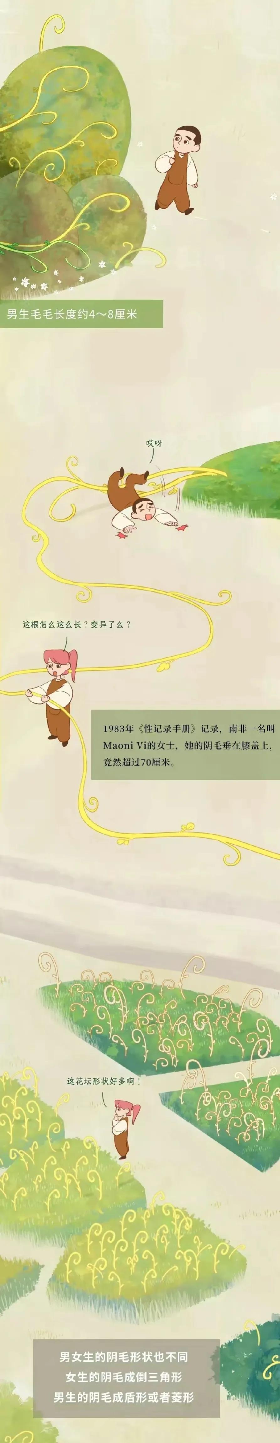 漫画分享：人类阴毛从出生到脱落全过程解析！