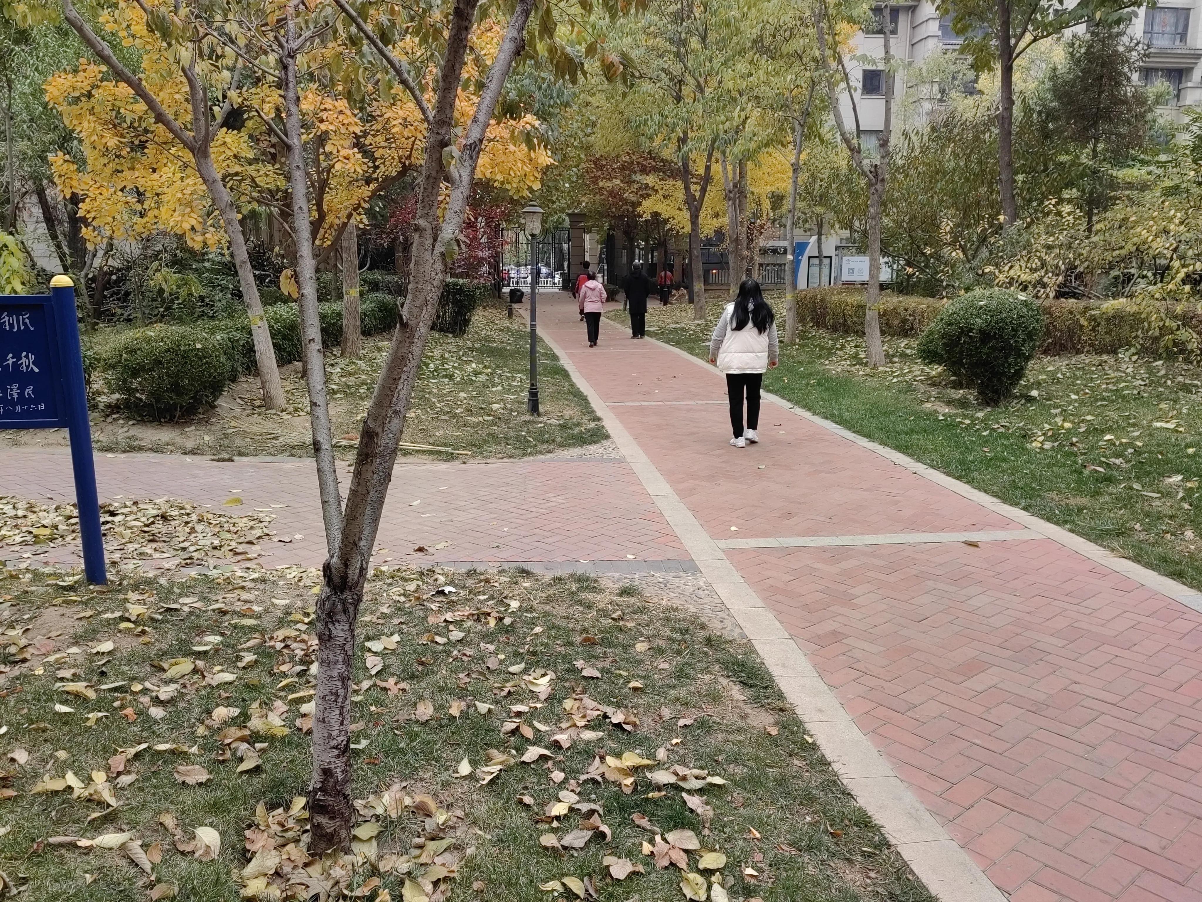 封控期间，一个人一见到我，就说他快疯了。怎么办呢？