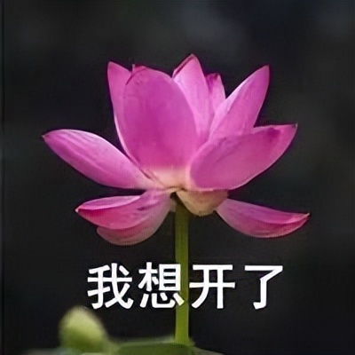 iphone14租赁,iphone14租划算吗