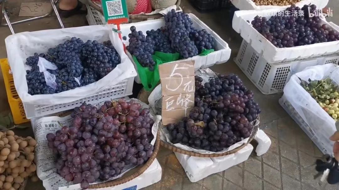 在广西，你永远不知道天上会掉下来什么