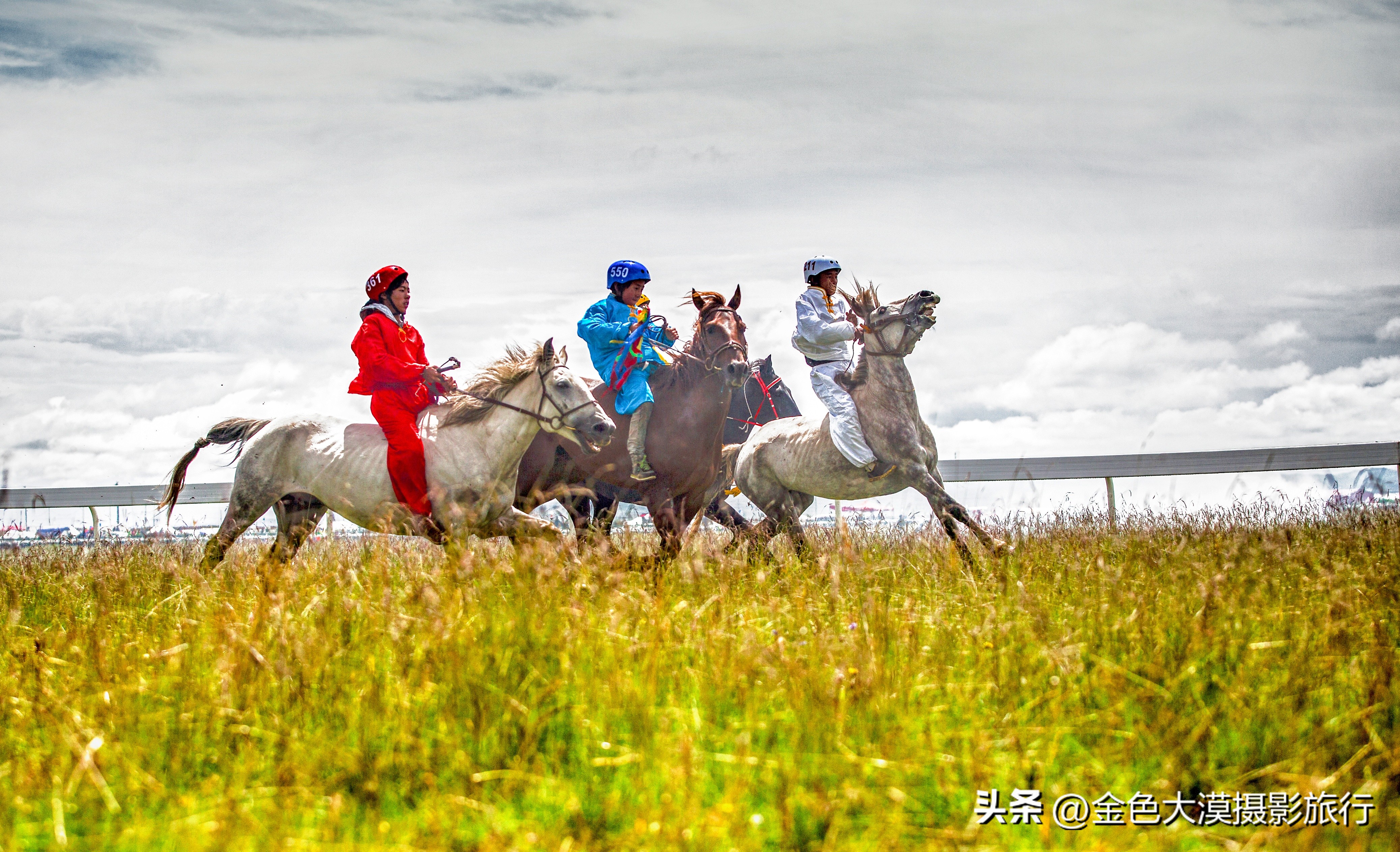 甘南之行第十一站河曲马场,甘南河曲马场视频