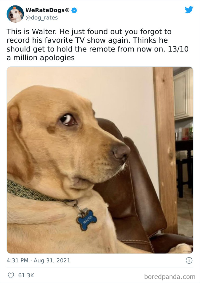 缇庡浗灏忓摜鐐硅瘎瑙嗛,缇庡浗灏忓摜鐐硅瘎