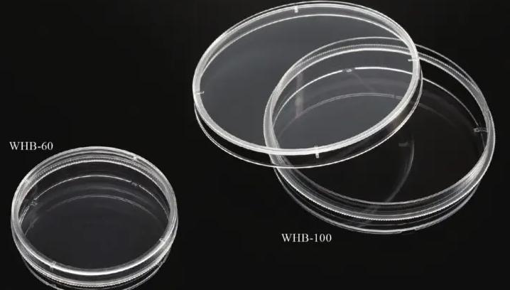 壳寡糖的促进生根作用,壳寡糖对免疫系统的调节作用