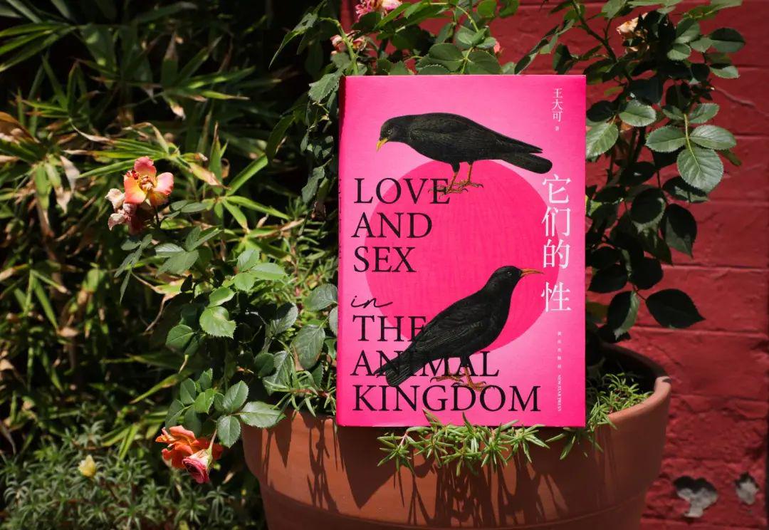 我，90后，女博士，研究105种动物“*行为性**”