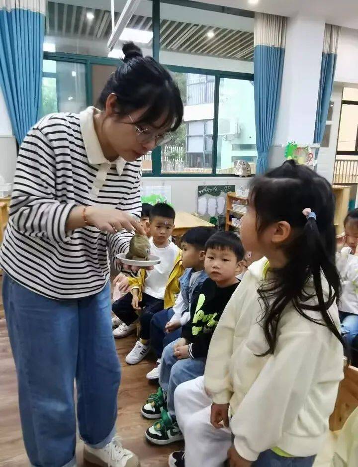 桐乡市庆安乐儿堡幼儿园,浙江省桐乡市庆安乐儿堡幼儿园