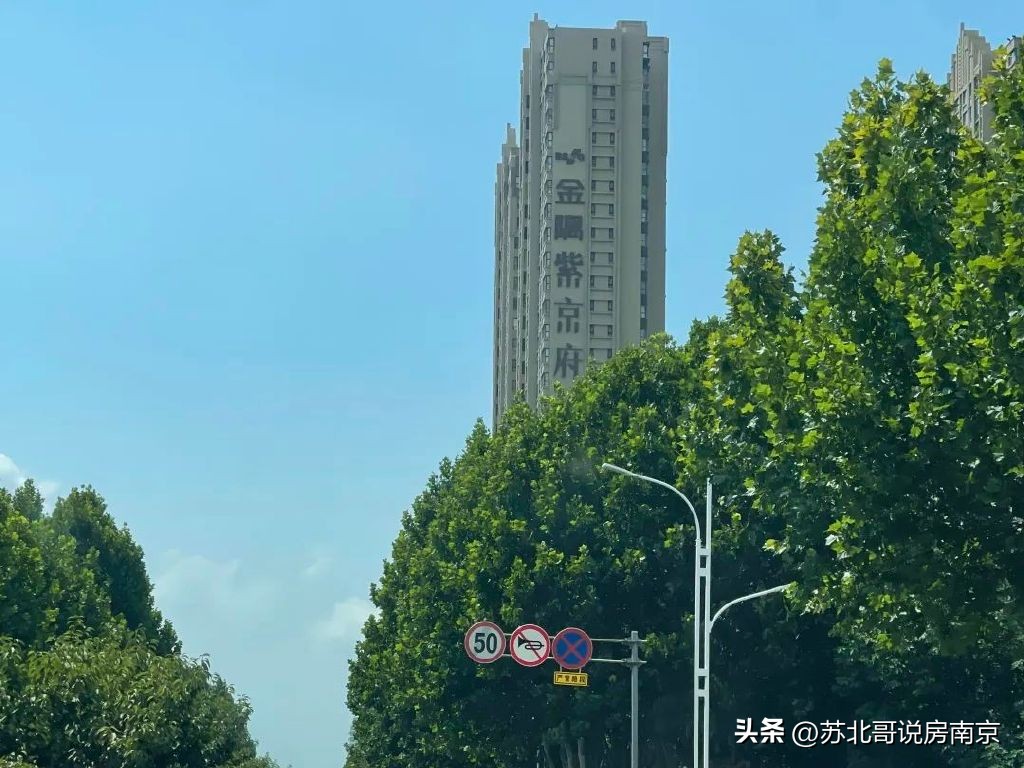 南京丹若园进度,南京丹若园哪年交付