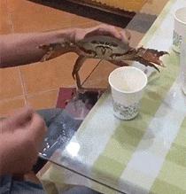 女生上学和出去玩的区别,女生在上课穿校服