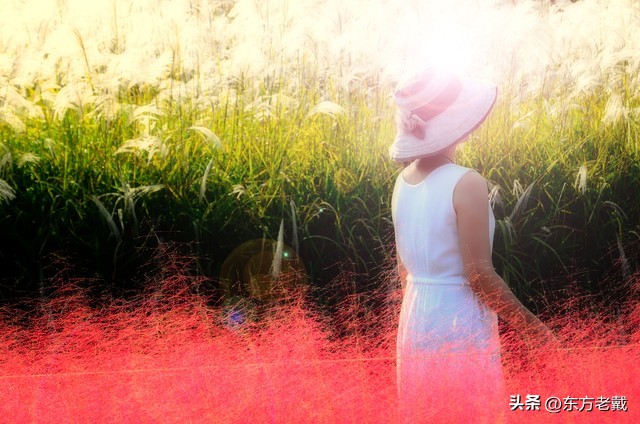 中老年单身男女在头条平台上能找到自己红颜知己或知心爱人吗？续