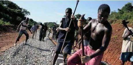 非洲人的智慧与坚韧：解密生存之道