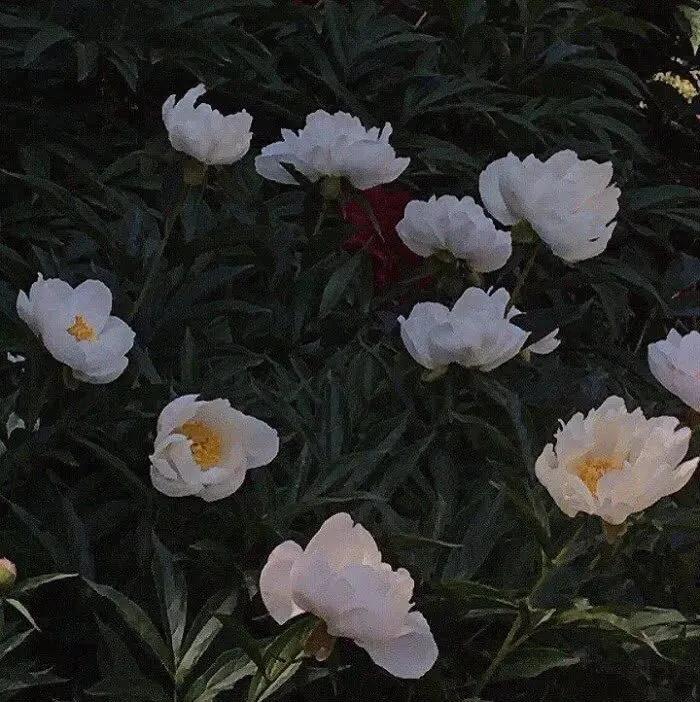 微信背景图和你在一起系列,微信背景图秋冬落叶