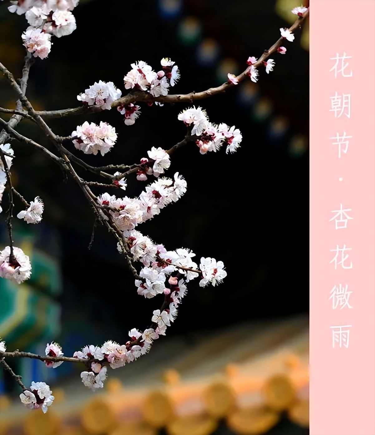 三月春光如诗如画,如诗如画的三月阳春