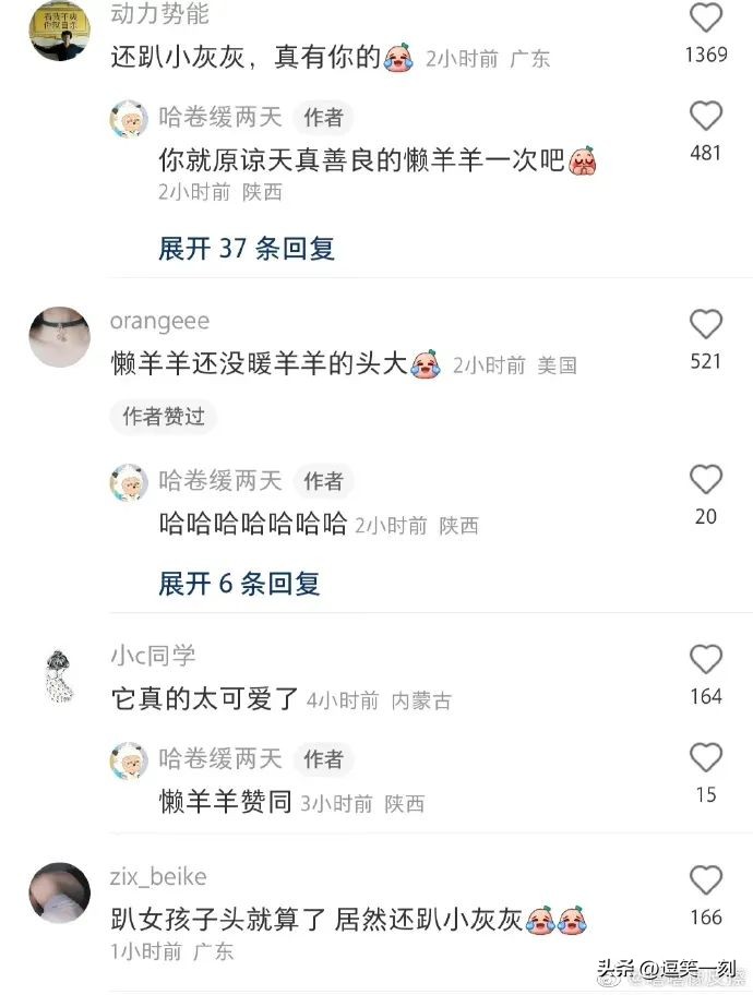 神仙男友的奇葩操作,男友的奇葩脑回路评论区笑不活了