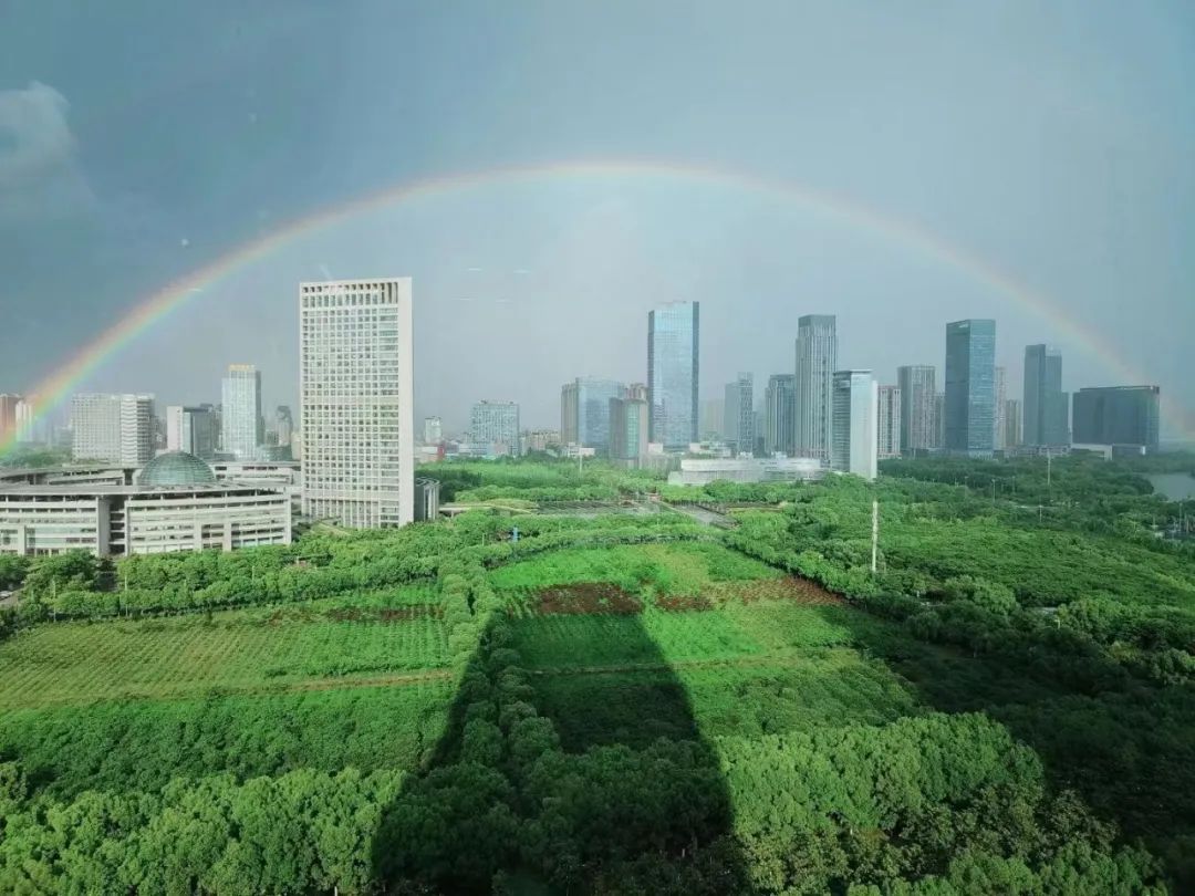 合肥天空出现的双彩虹,合肥天空出现七彩祥云视频
