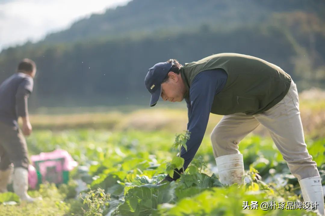 三农类农产品品牌,三农领域创意农产品品牌