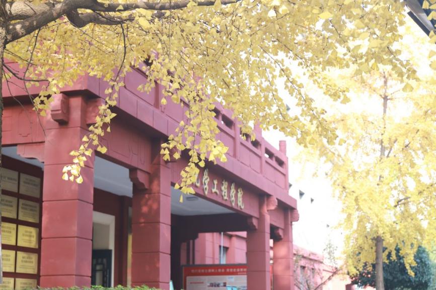 优秀！四川大学“超强”本科生：登上领域三大顶刊，获国际关注！