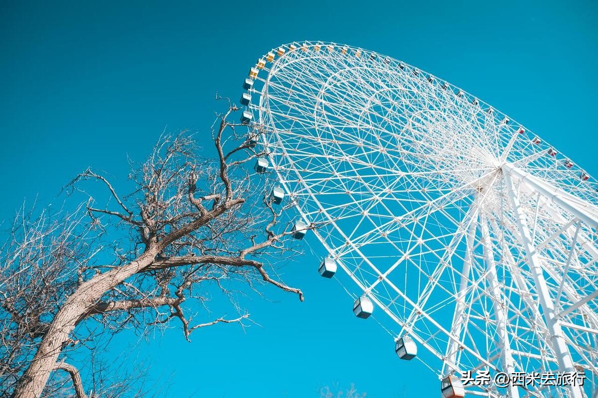 10大必玩摩天轮,摩天轮游玩攻略