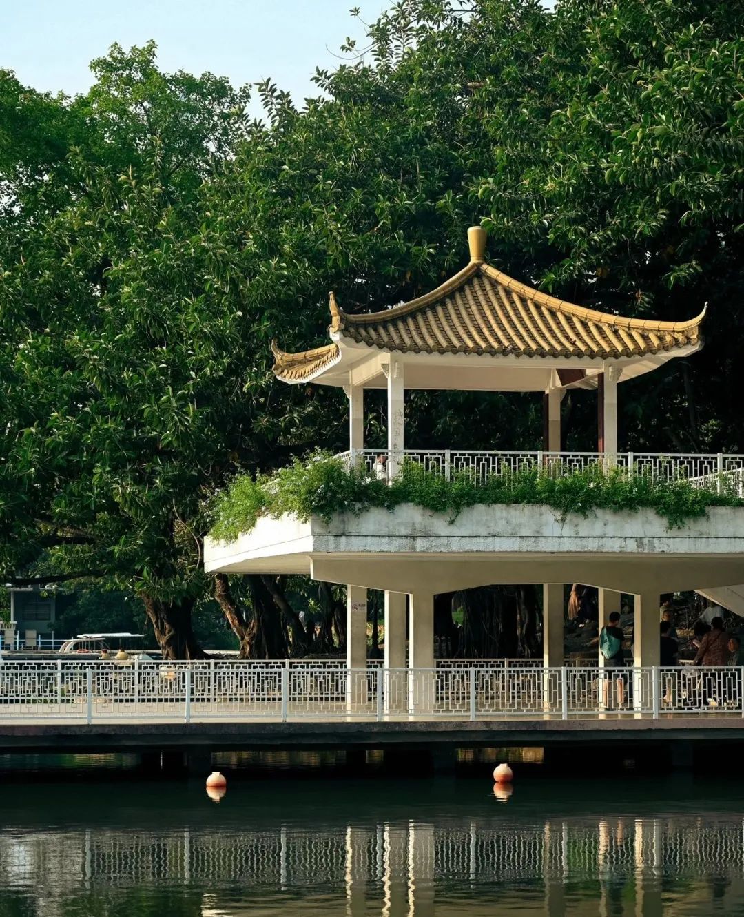 深圳2天1夜旅行攻略,深圳沙头角一日游详细攻略