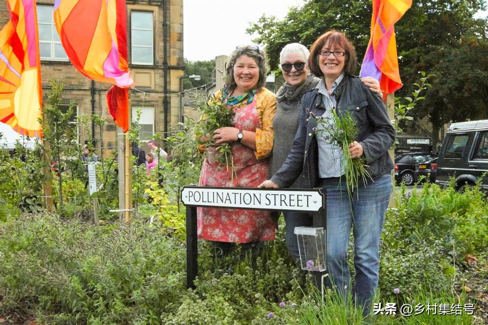 鎵樺痉鎽╃櫥,鑻卞浗鎵樺痉鎽╃櫥灏忛晣