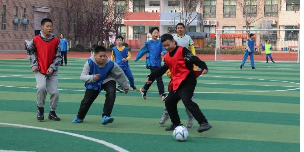 滕州龙泉街道中心小学足球队,龙泉市2019年中小学足球比赛