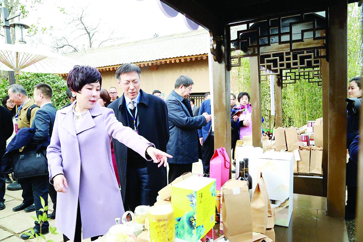 天朗董事长孙茵打造民宿,天朗孙茵创业经历