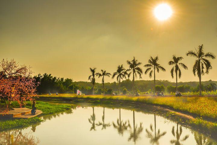 玉米期货交易高手实操技巧,期货高手的真实案例讲解