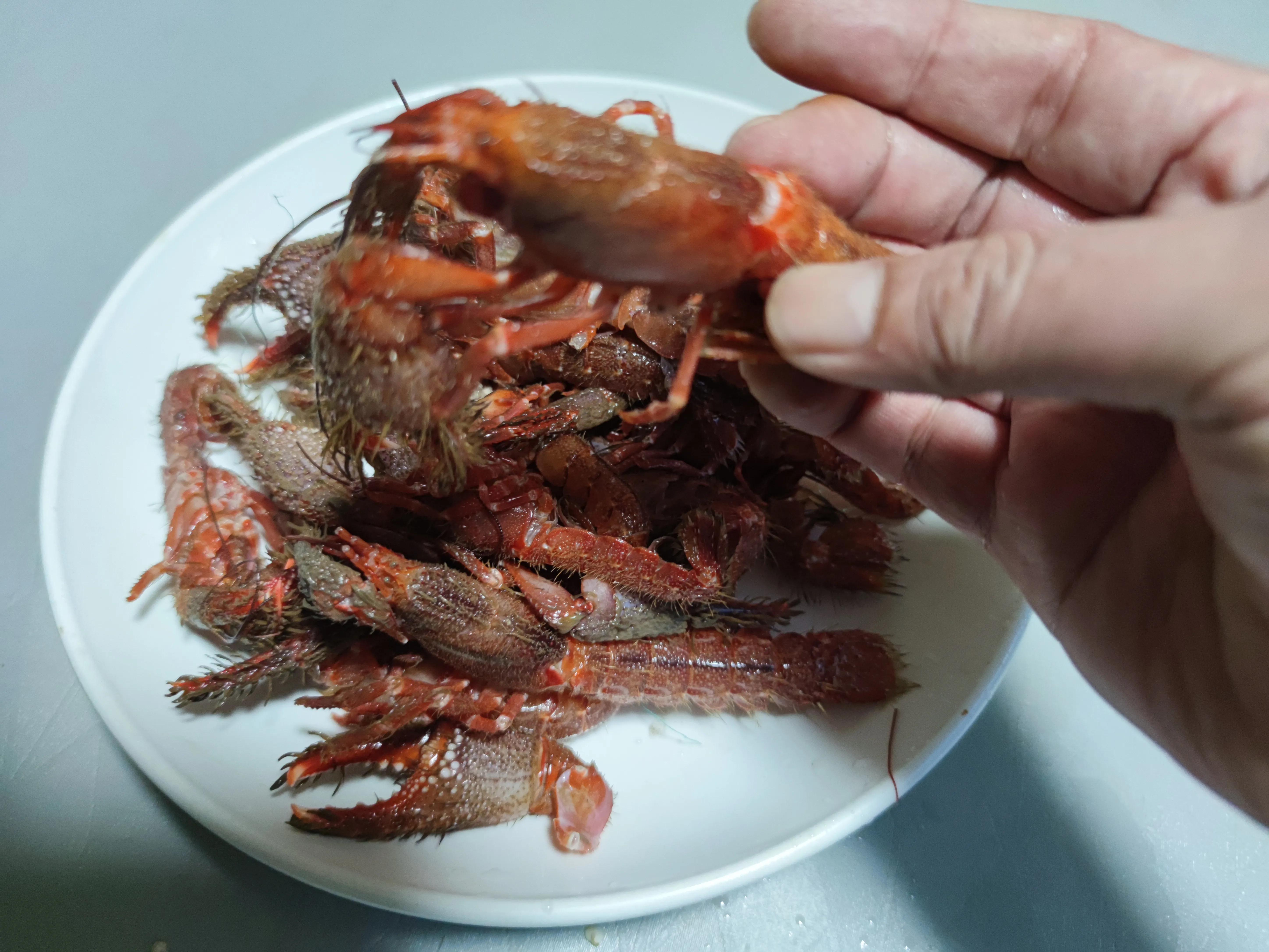 五一大连便宜的海鲜,大连春季特色小海鲜