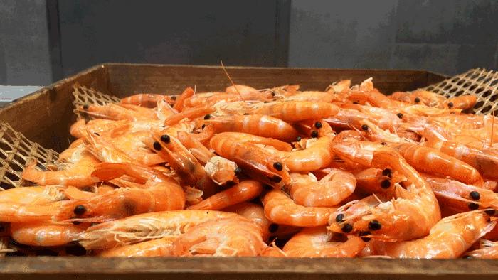 江苏唯一有山的城市,中国海拔最高的风景区