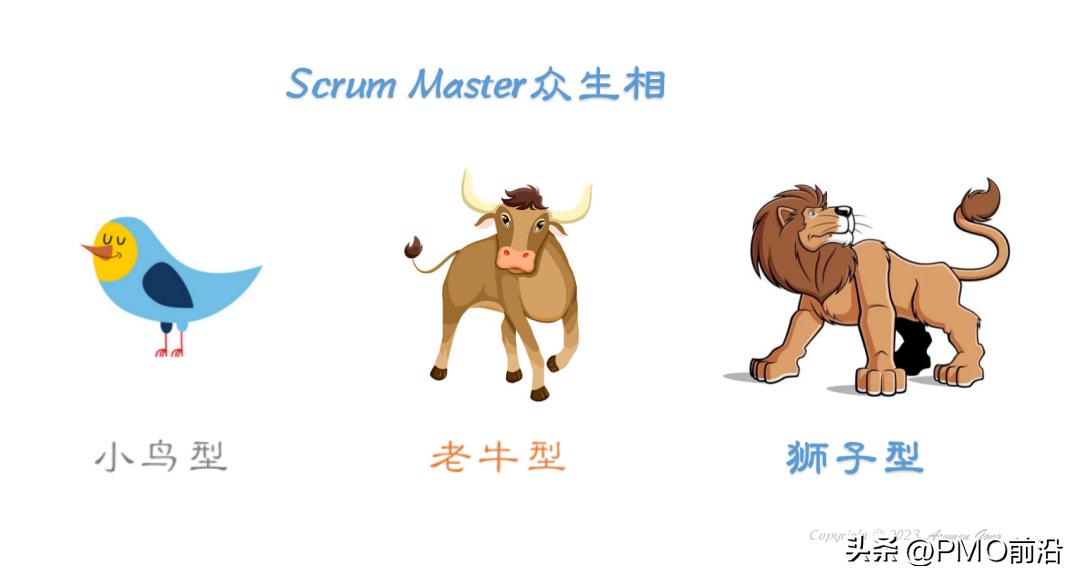 scrummaster怎么引导会议,scrummaster需要懂技术吗