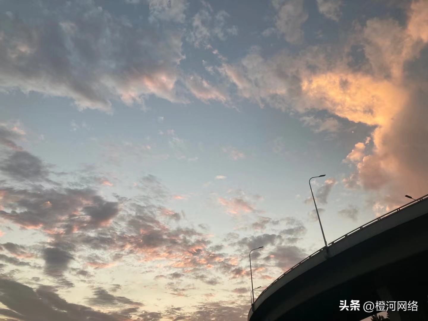 海外问卷调查项目如何快速做,海外调查问卷操作流程