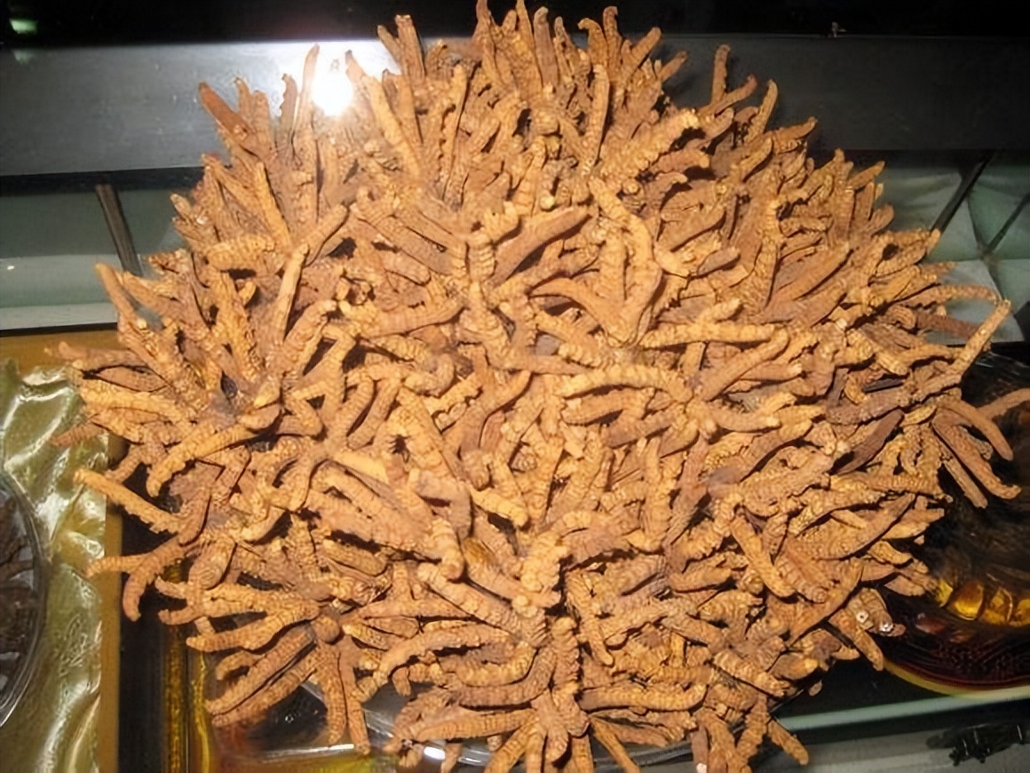 农村最新回收生意,农民回家创业有什么项目