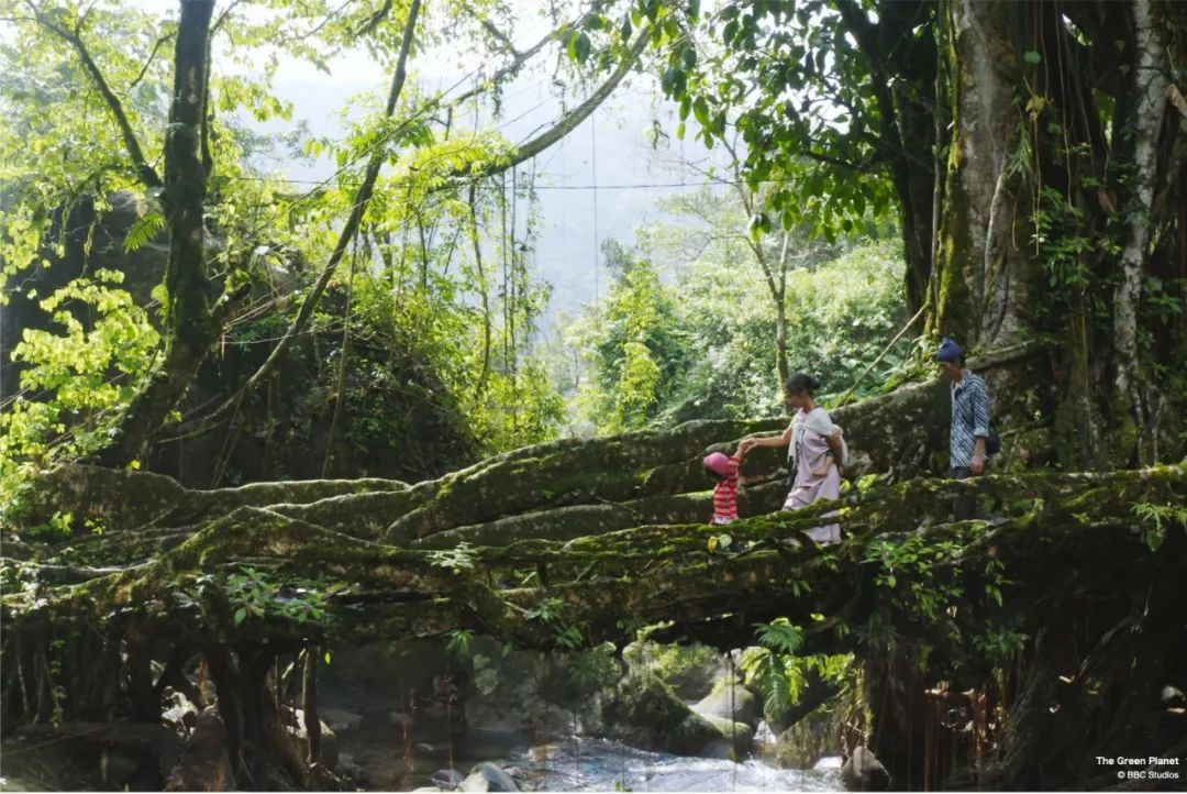 96岁还在奔波工作，这老爷子做出了今年9.8分神片