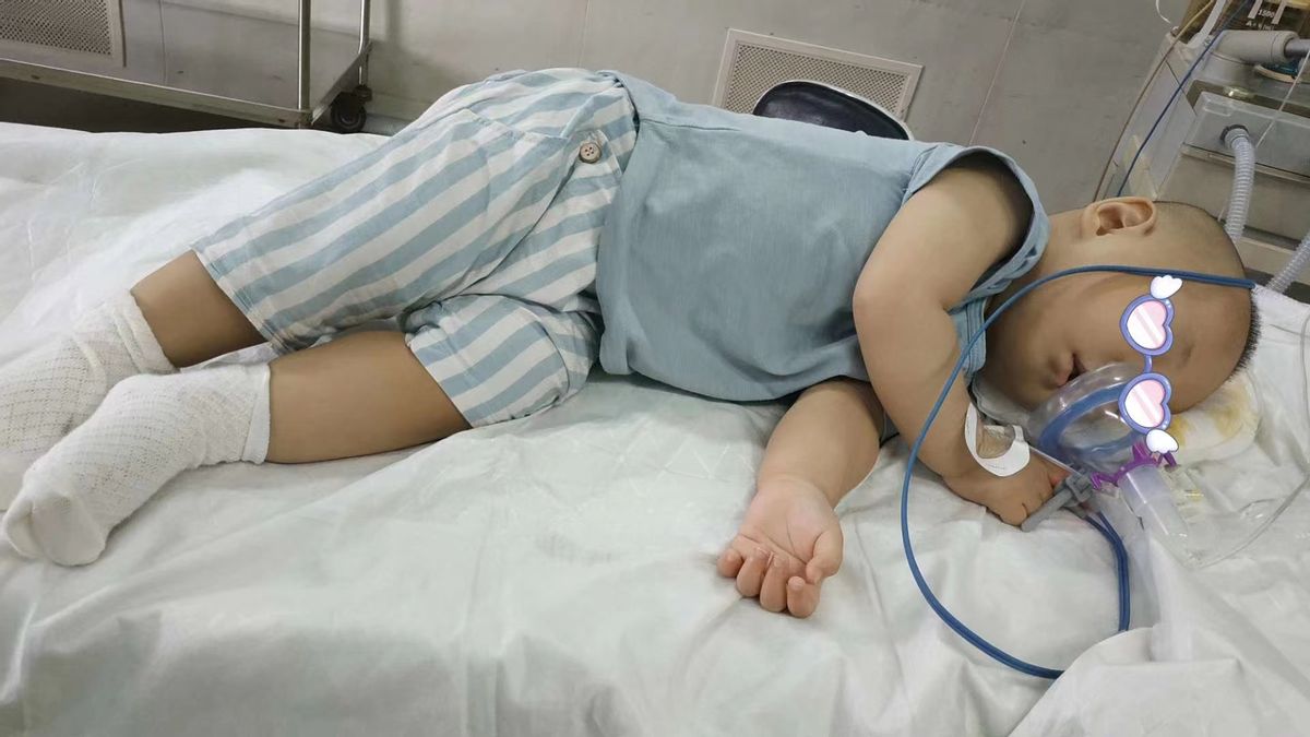 一例无痛小儿食道异物取出术