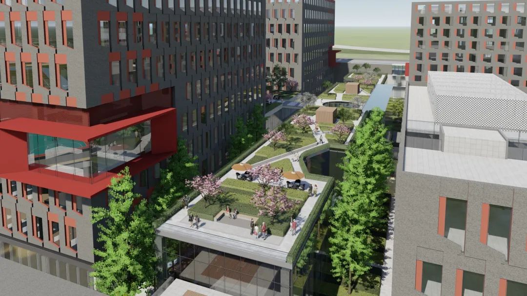 南大美景,南大美景图