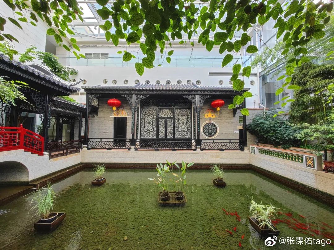 北京植物园的赏花的最好时节,西山秘境惊艳北京的植物