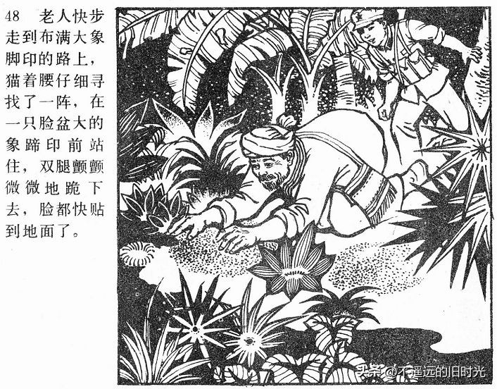 大象搬家,大象搬家河北