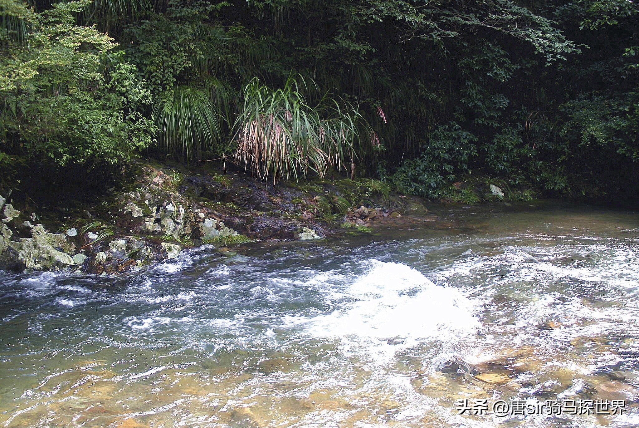 骞胯タ鍐滄潙鑿囧,骞胯タ璐靛窞浜ょ晫鐨勮弴绫绘潙