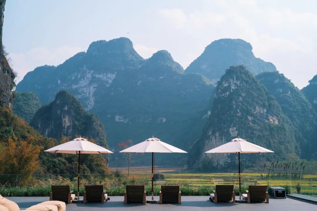 盘点那些过气网红的现状,2020年已经过气的网红