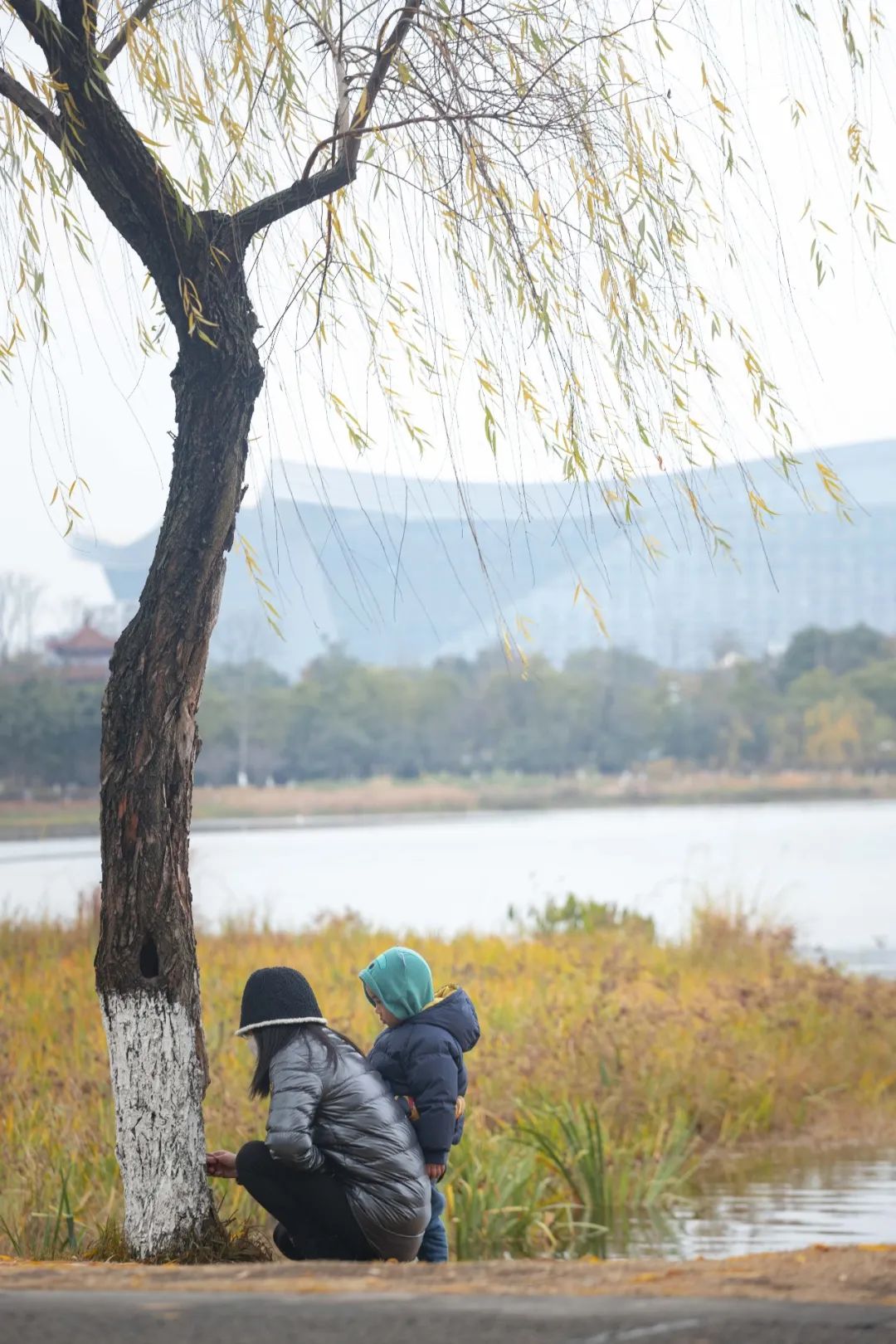 10个城市宝藏,成都还有哪些宝藏公园