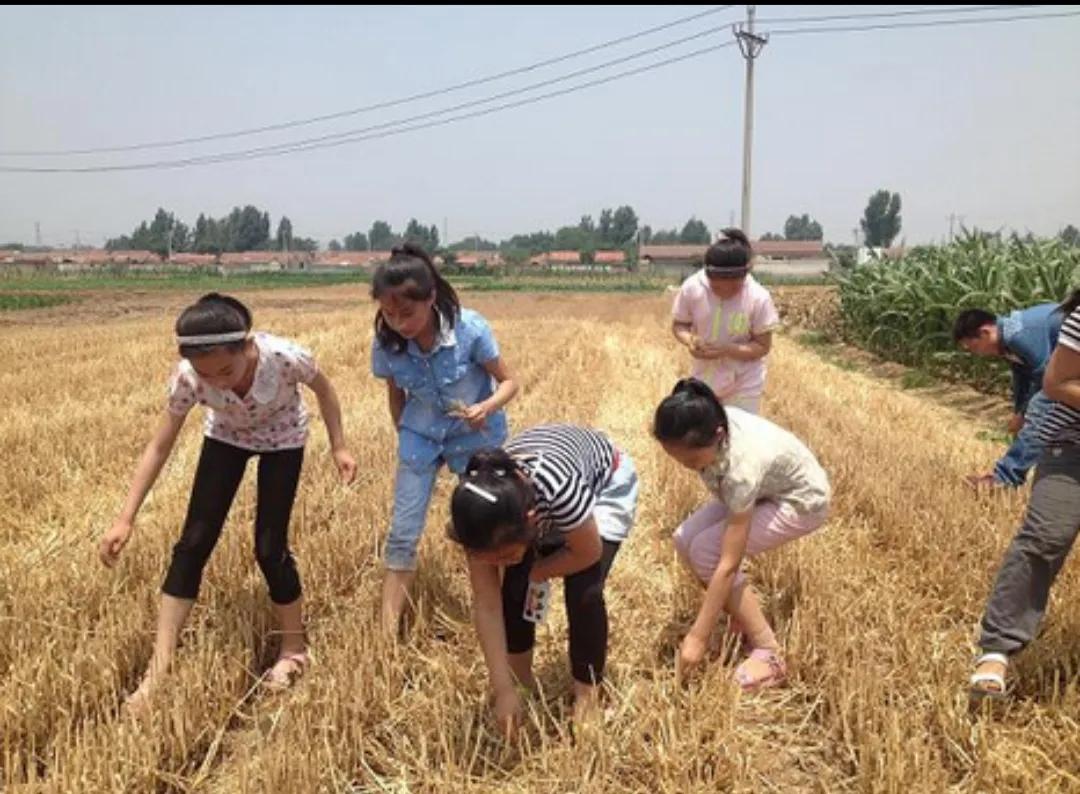 七十年代学习场景,七十年代初中学习回忆