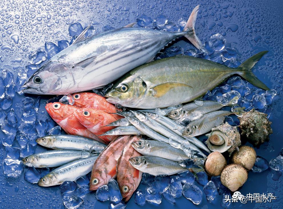 水产品总产量公式,世界水产品统计