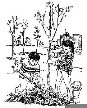 一年级100篇看图写话完整版的图片,一年级看图写话海边捡贝壳100字