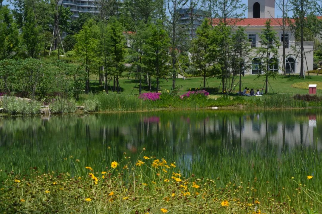 成都龙泉山水旅游攻略图,成都龙泉湖一日游最新详细攻略