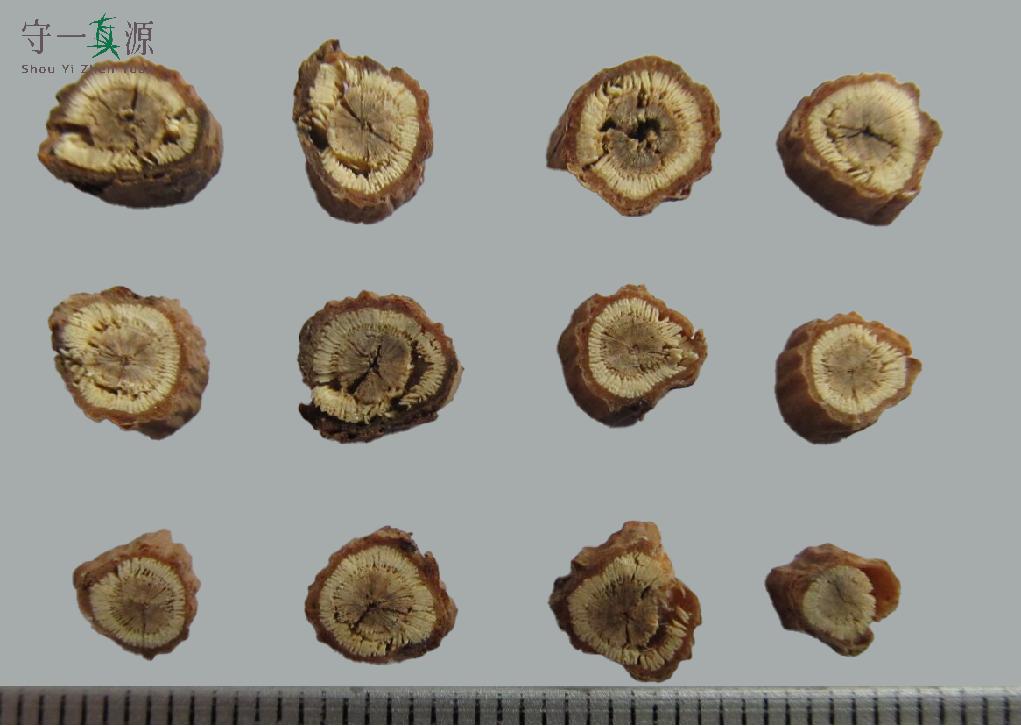 中药鉴定真假找谁,柴胡真假优劣鉴别