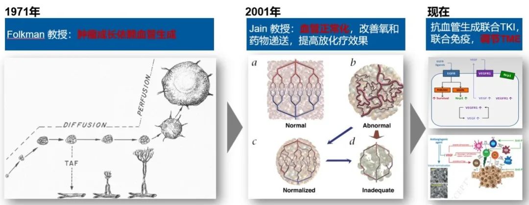 抗血管生成药一览表,抗血管生成药物作用机制