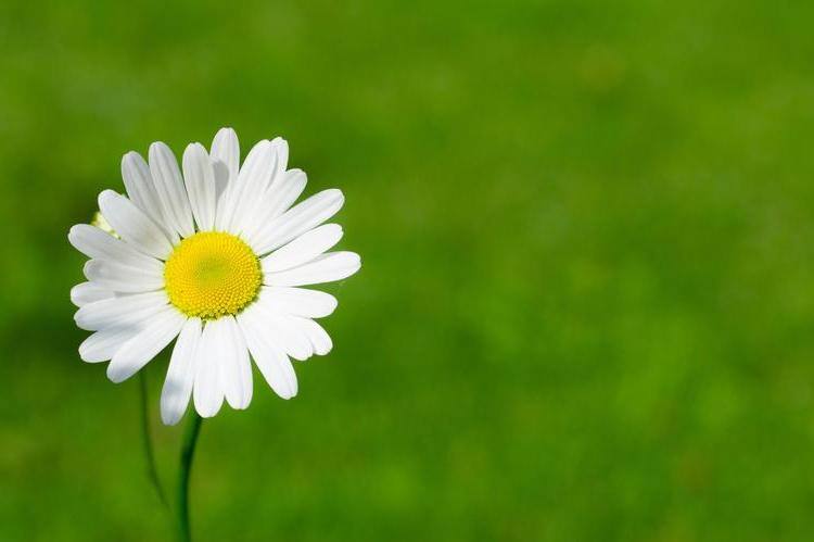 三种老人晚年很有福气越活越幸福,老人晚年生活幸福需要具备的心态