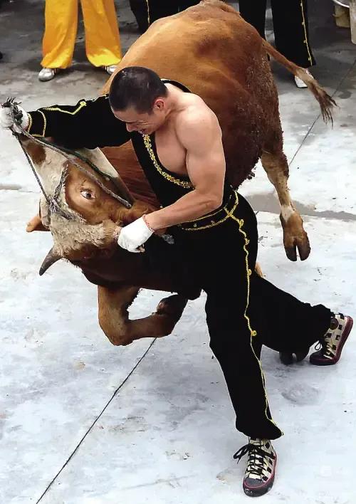 嘉兴凌公塘公园地点,凌公塘文化主题公园