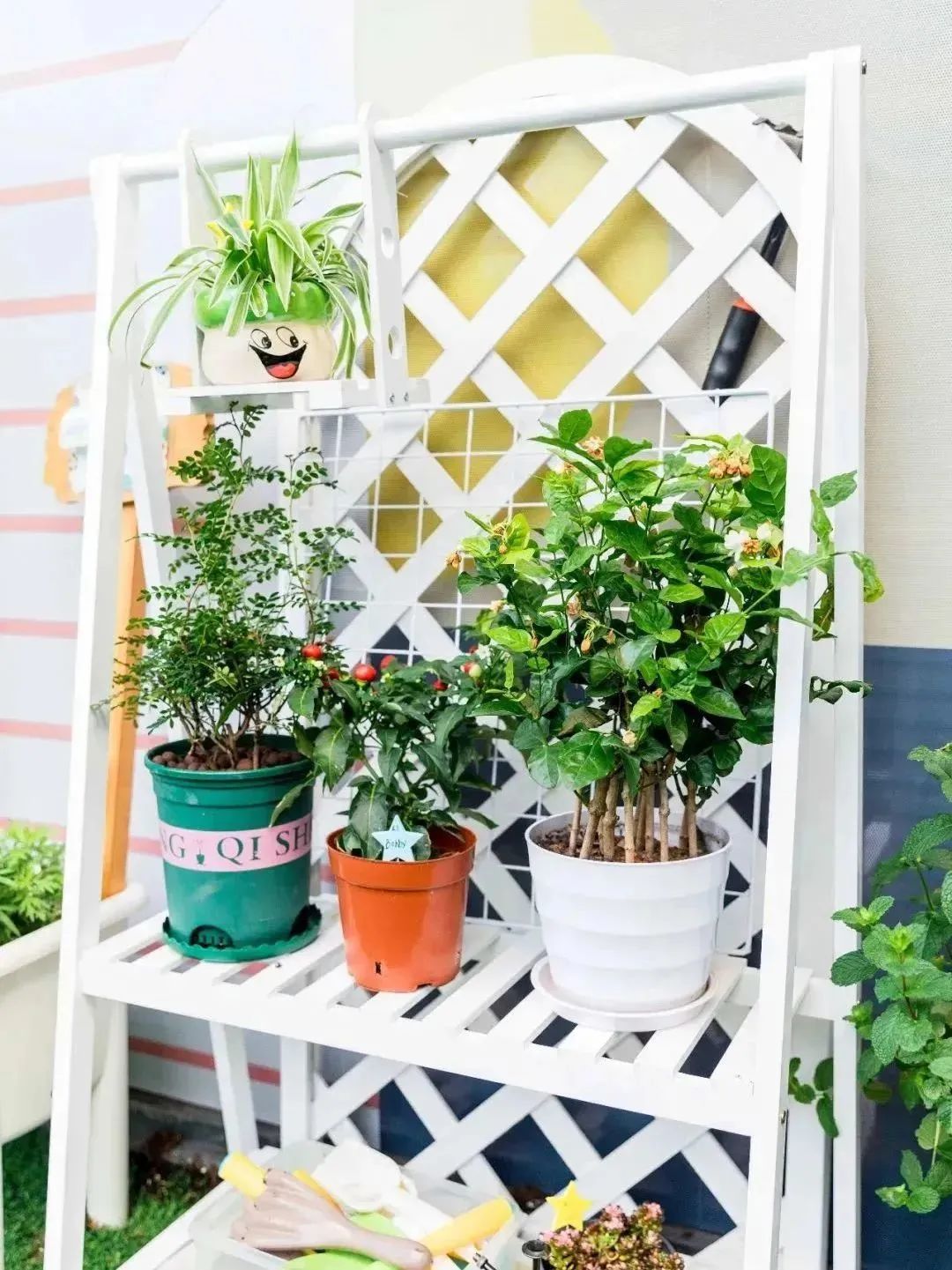 深圳南山国际幼儿园哪家好,南山区国际幼儿园哪家好